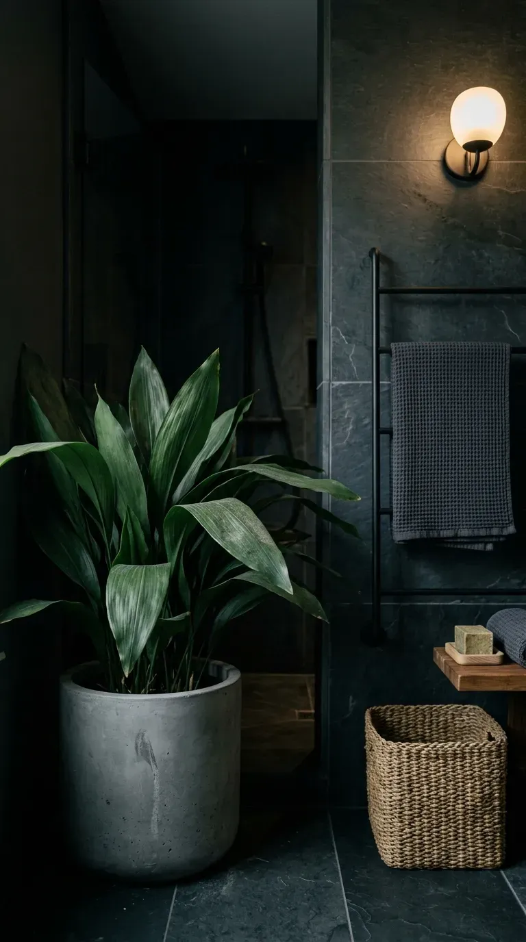 Cast iron plant in a grey pot in a dim bathroom corner